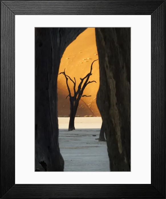 Framed Print : DDE-90021328 Framed Print : DDE-90021328