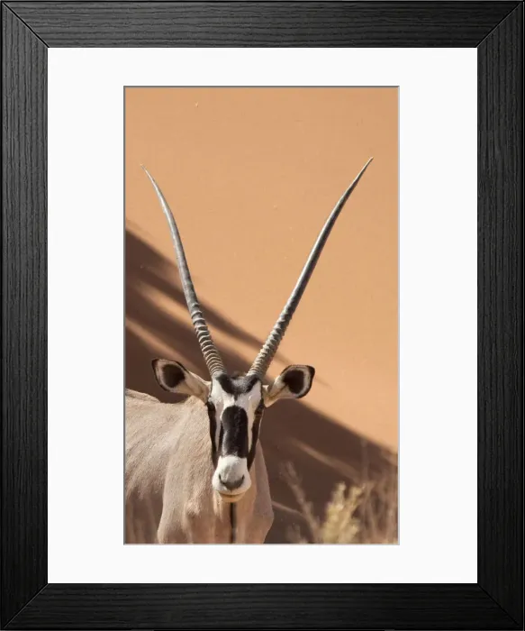 Framed Print : DDE-90021329