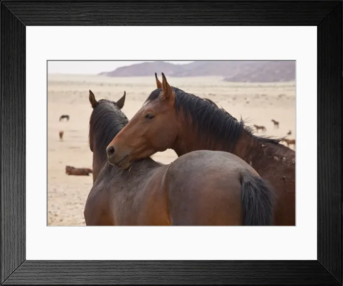 Framed Print : DDE-90021327 Framed Print : DDE-90021327