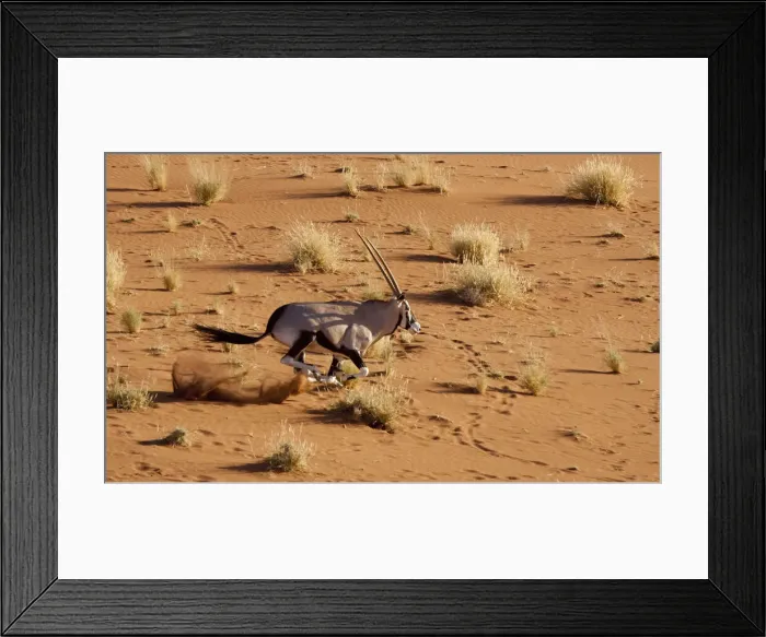 Framed Print : DDE-90021331 Framed Print : DDE-90021331