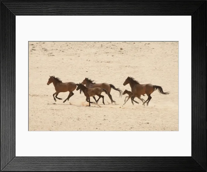 Framed Print : DDE-90021330 Framed Print : DDE-90021330