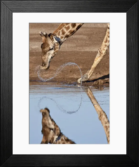 Framed Print : DDE-90021335