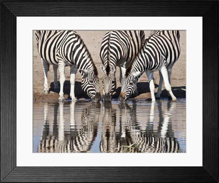Framed Print : DDE-90021336