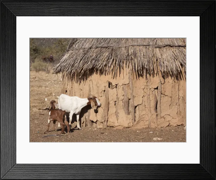 Framed Print : DDE-90021341