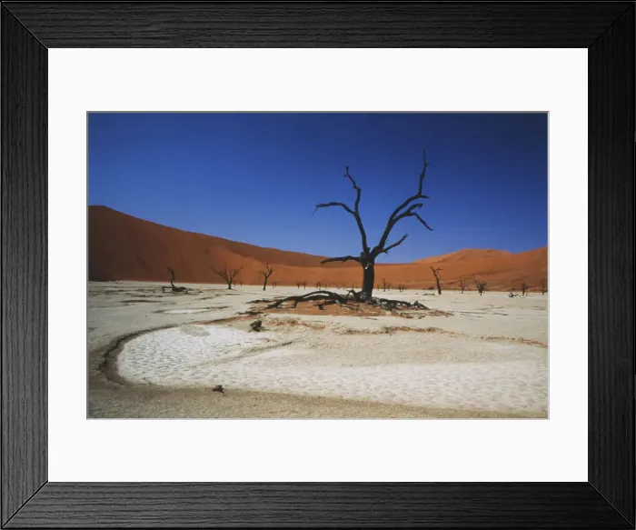 Framed Print : DDE-90021345 Framed Print : DDE-90021345