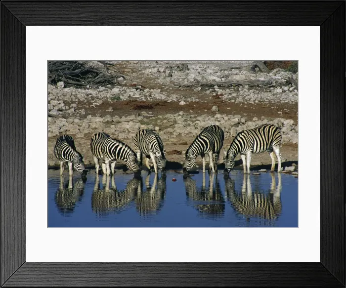 Framed Print : DDE-90021351 Framed Print : DDE-90021351