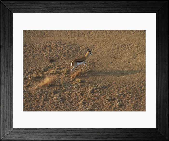 Framed Print : DDE-90021352 Framed Print : DDE-90021352