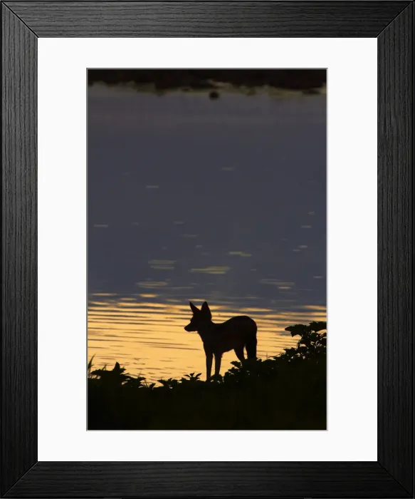 Framed Print : DDE-90021354 Framed Print : DDE-90021354