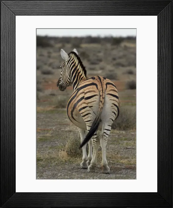 Framed Print : DDE-90021358 Framed Print : DDE-90021358