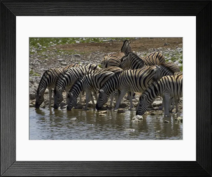 Framed Print : DDE-90021359 Framed Print : DDE-90021359