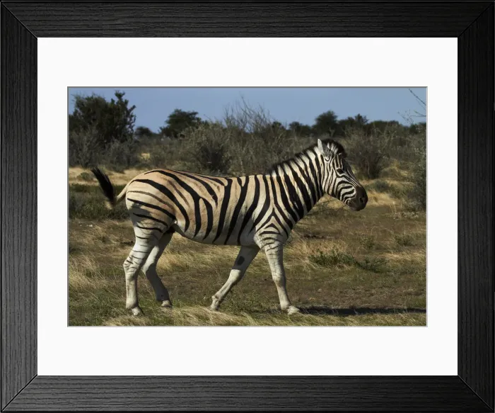 Framed Print : DDE-90021362 Framed Print : DDE-90021362