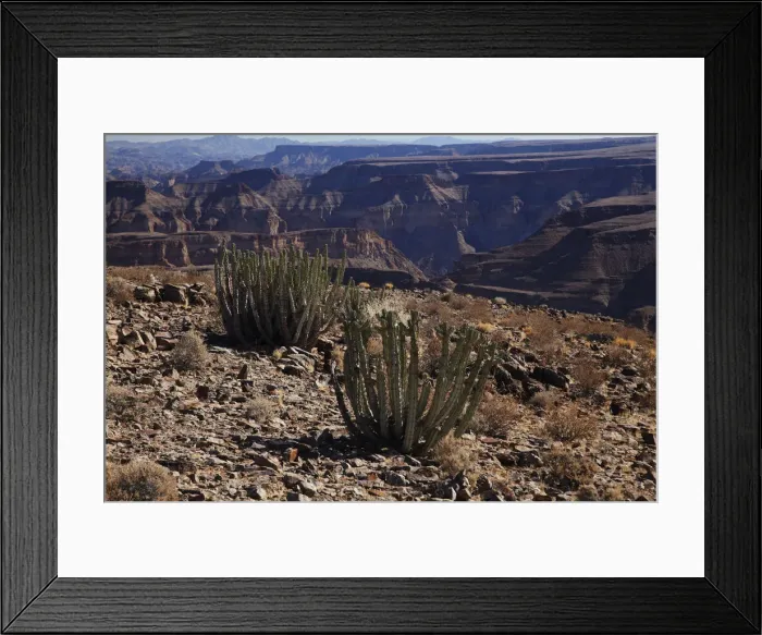 Framed Print : DDE-90021369 Framed Print : DDE-90021369
