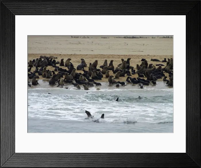 Framed Print : DDE-90021370 Framed Print : DDE-90021370
