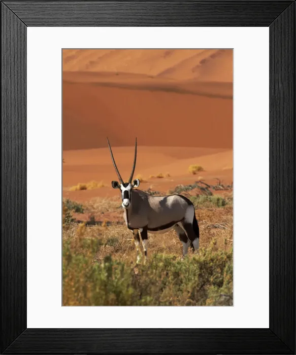 Framed Print : DDE-90021374 Framed Print : DDE-90021374