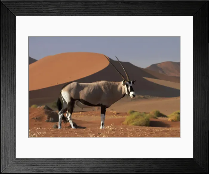 Framed Print : DDE-90021375 Framed Print : DDE-90021375