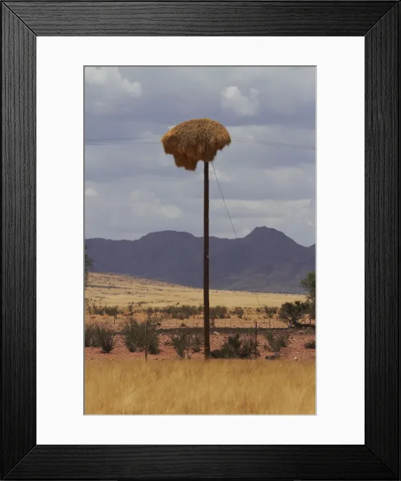 Framed Print : DDE-90021389