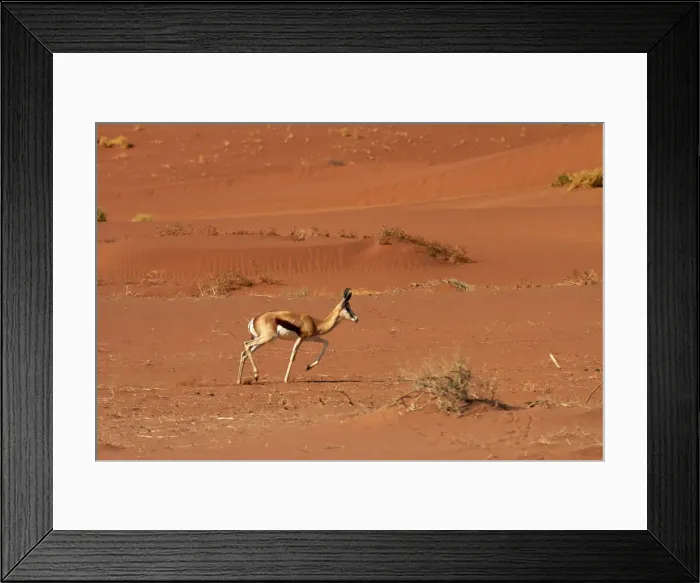 Framed Print : DDE-90021394 Framed Print : DDE-90021394