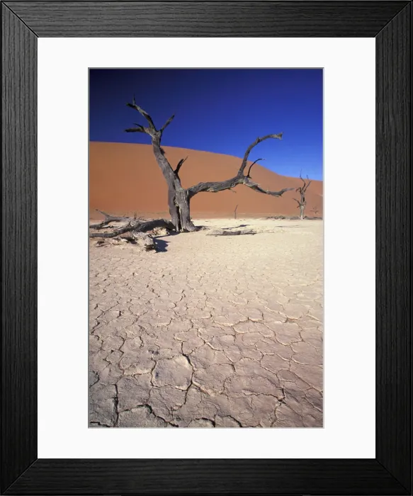 Framed Print : DDE-90021406 Framed Print : DDE-90021406