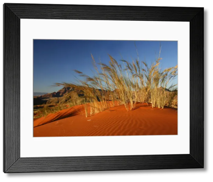 Framed Print : DDE-90021411 Framed Print : DDE-90021411