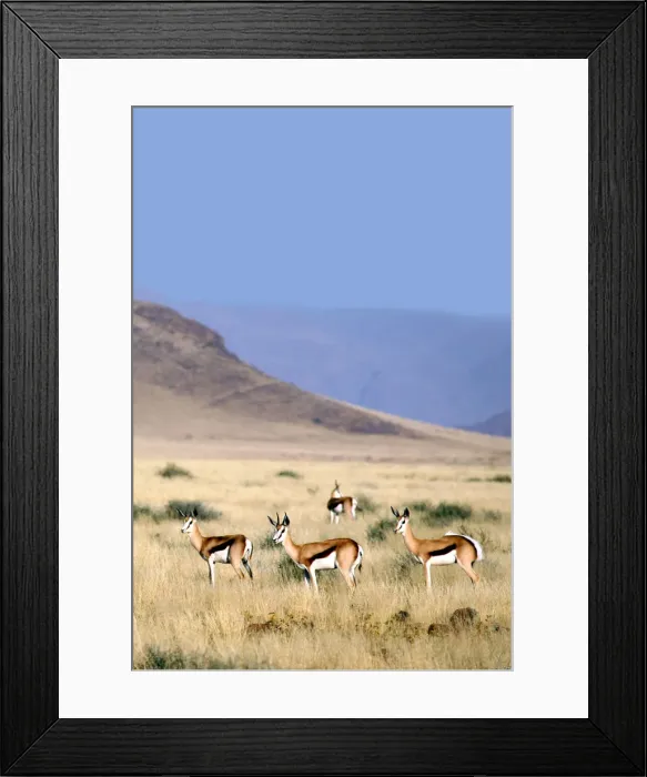 Framed Print : DDE-90021415 Framed Print : DDE-90021415