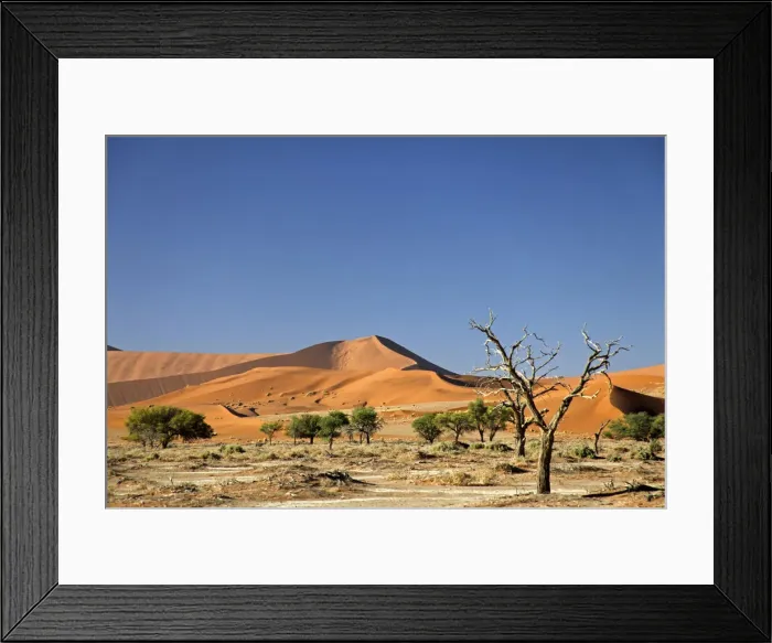 Framed Print : DDE-90021417 Framed Print : DDE-90021417