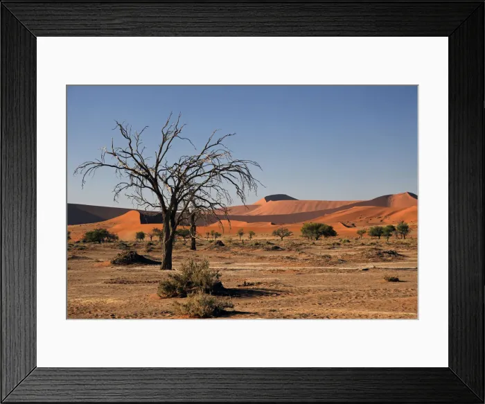 Framed Print : DDE-90021419 Framed Print : DDE-90021419