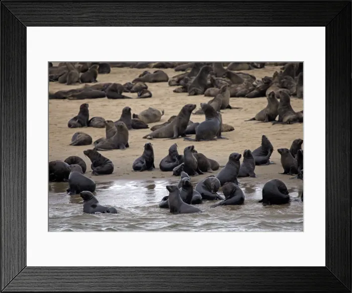 Framed Print : DDE-90021422 Framed Print : DDE-90021422