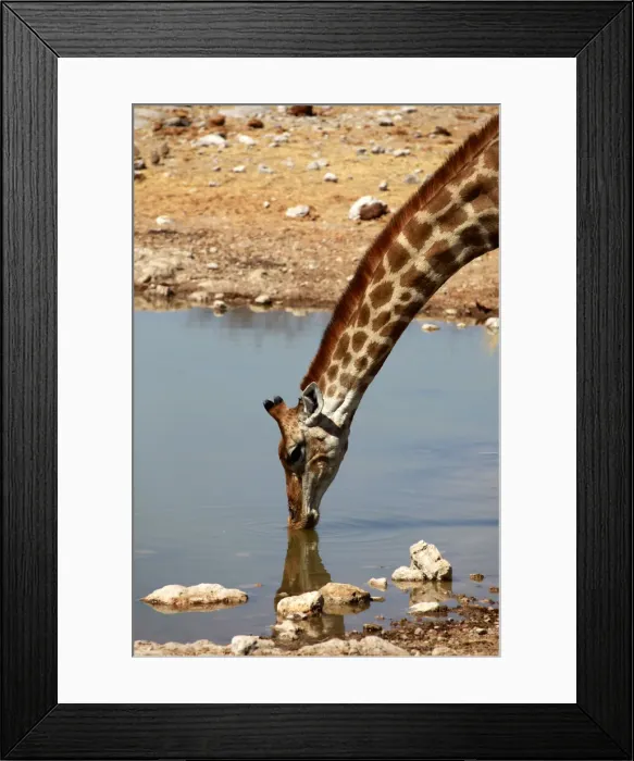 Framed Print : DDE-90021428 Framed Print : DDE-90021428