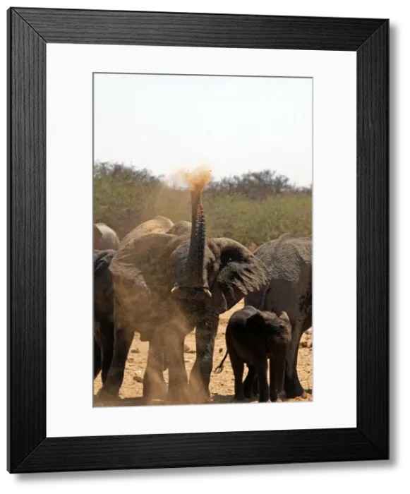 Framed Print : DDE-90021429 Framed Print : DDE-90021429