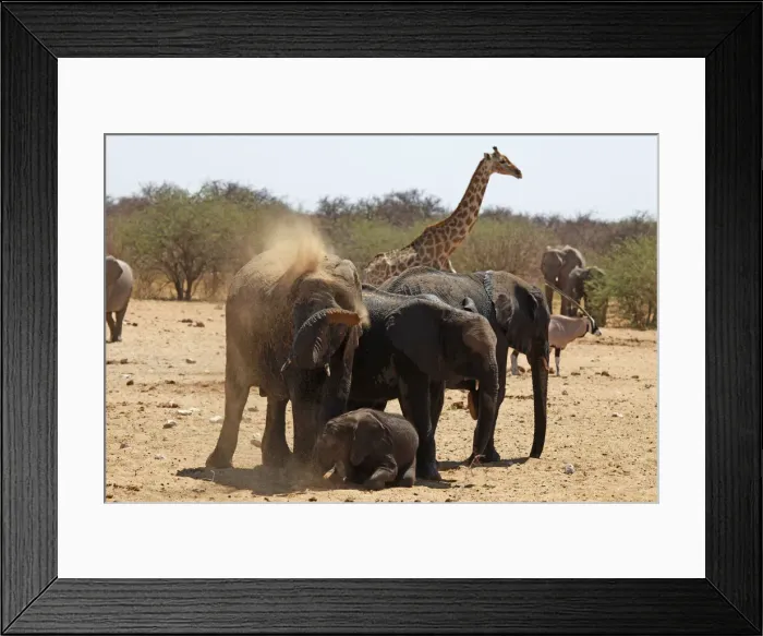 Framed Print : DDE-90021430 Framed Print : DDE-90021430
