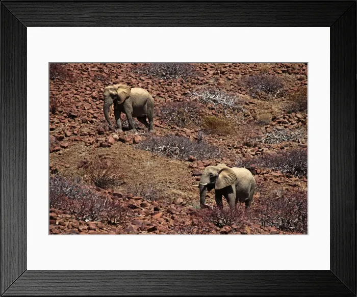 Framed Print : DDE-90021432 Framed Print : DDE-90021432