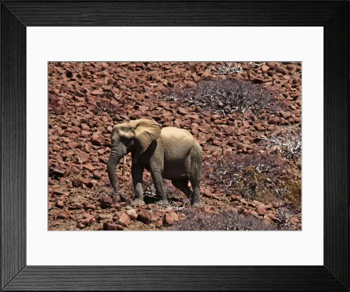 Framed Print : DDE-90021433 Framed Print : DDE-90021433