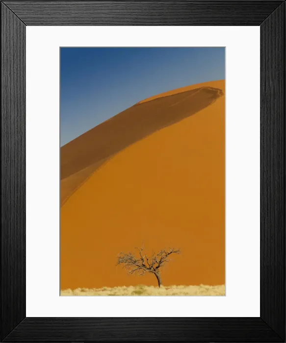 Framed Print : DDE-90021434 Framed Print : DDE-90021434