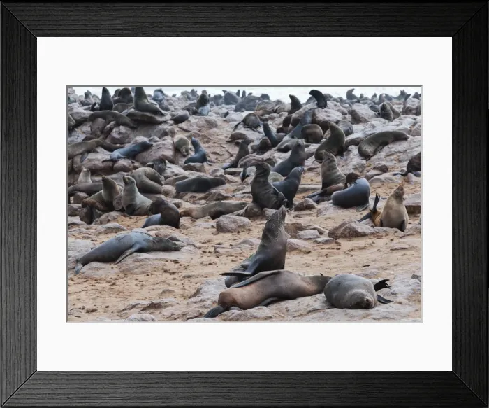 Framed Print : DDE-90021438 Framed Print : DDE-90021438