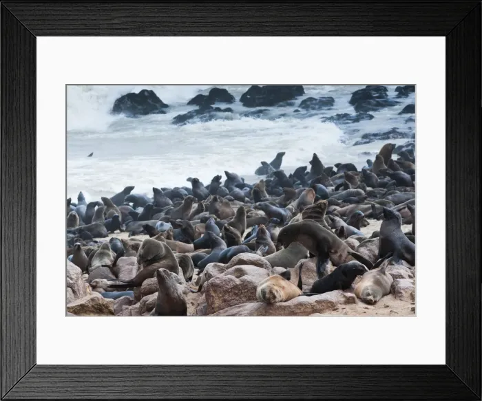 Framed Print : DDE-90021439 Framed Print : DDE-90021439