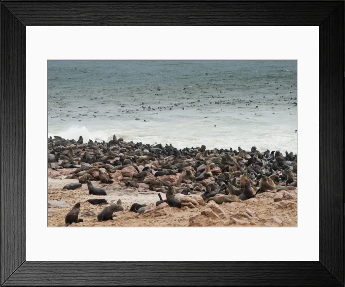 Framed Print : DDE-90021440 Framed Print : DDE-90021440