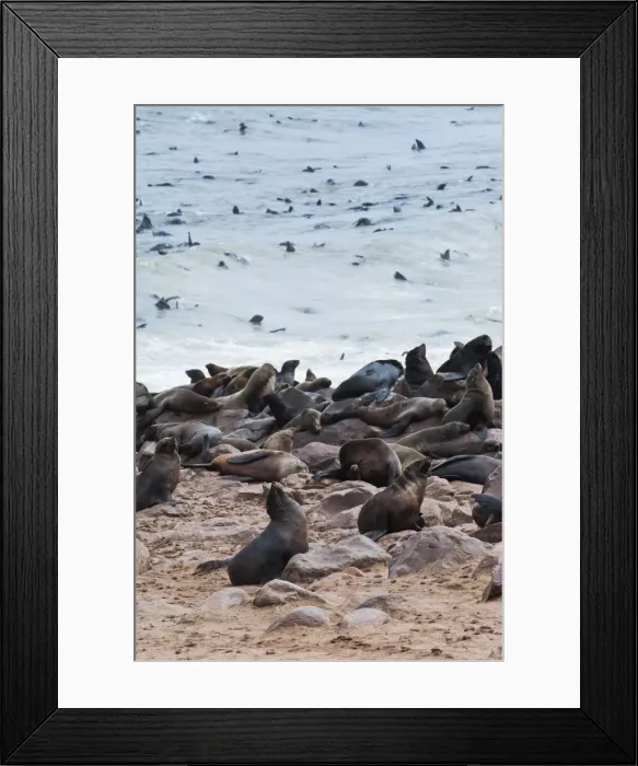 Framed Print : DDE-90021441 Framed Print : DDE-90021441