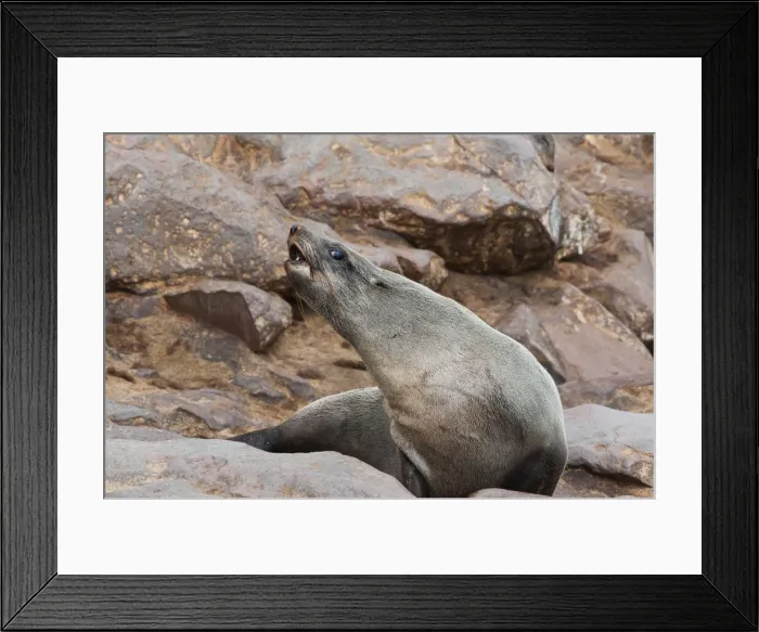 Framed Print : DDE-90021443 Framed Print : DDE-90021443
