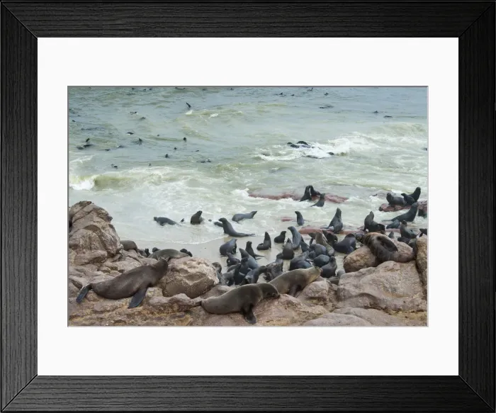 Framed Print : DDE-90021445 Framed Print : DDE-90021445