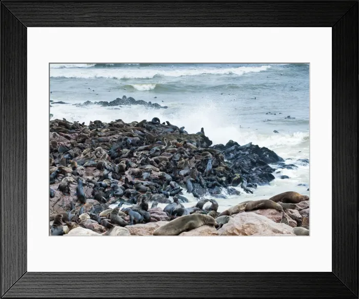 Framed Print : DDE-90021447 Framed Print : DDE-90021447