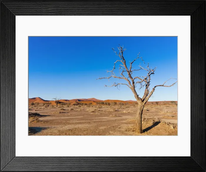Framed Print : DDE-90021454