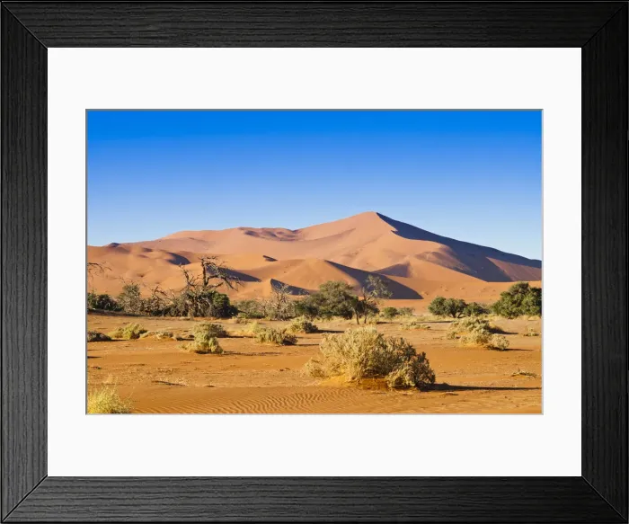 Framed Print : DDE-90021455