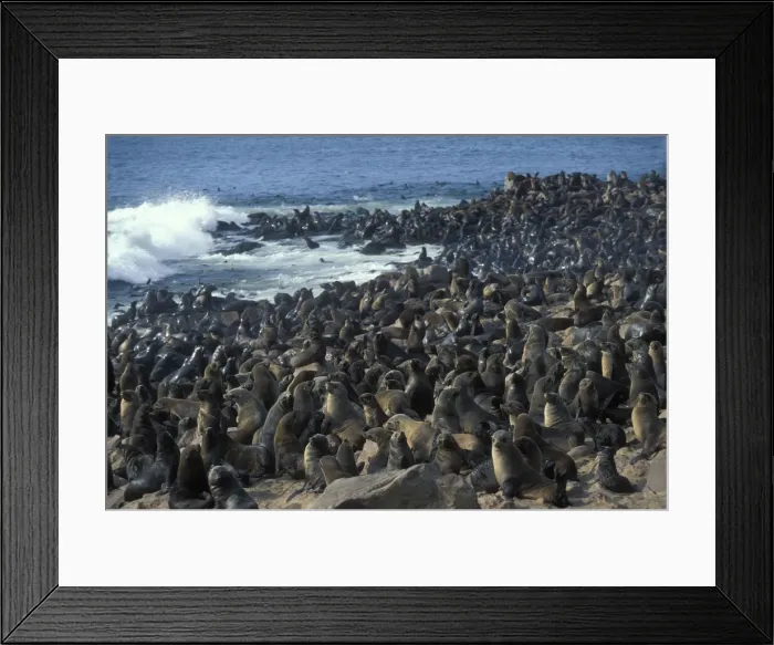 Framed Print : DDE-90021458 Framed Print : DDE-90021458