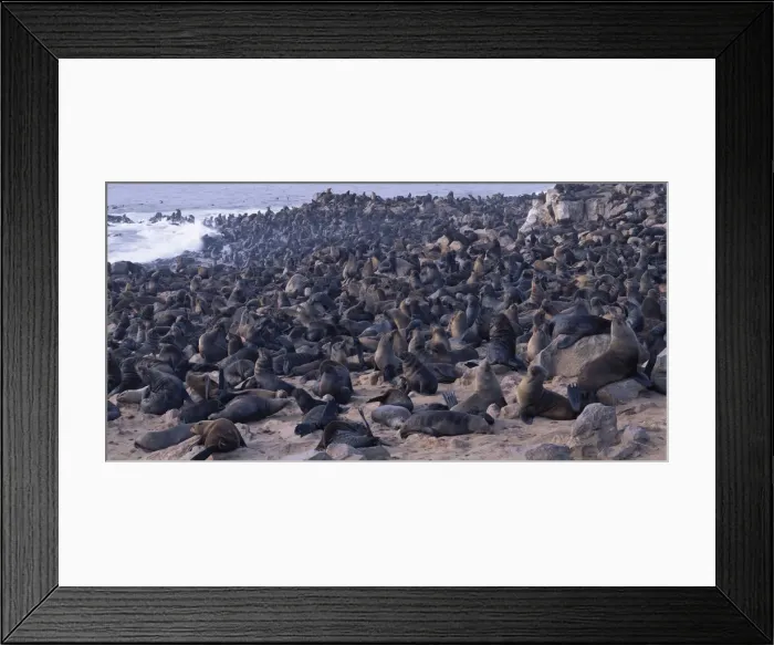 Framed Print : DDE-90021456 Framed Print : DDE-90021456