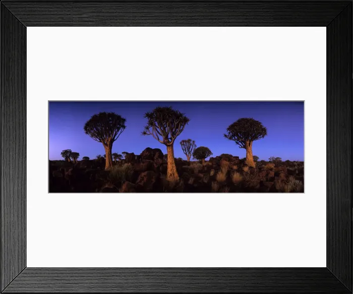 Framed Print : DDE-90021468 Framed Print : DDE-90021468