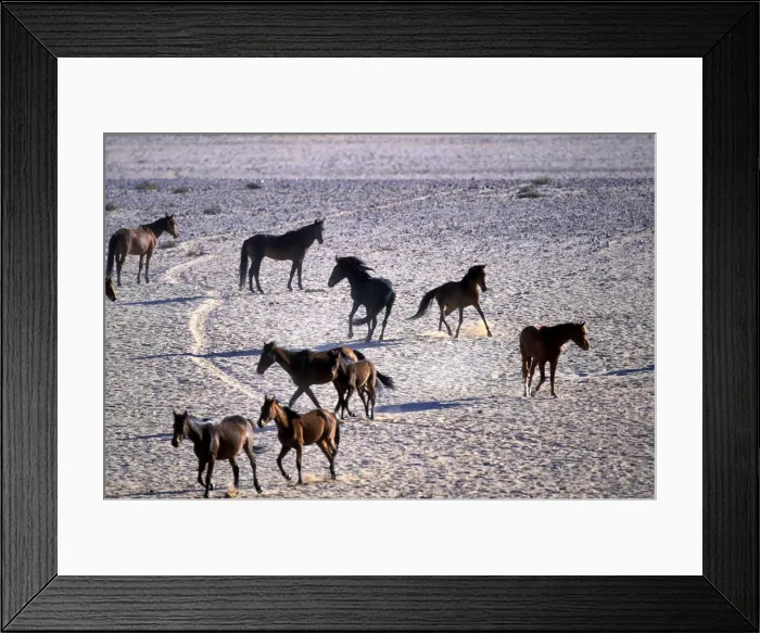 Framed Print : DDE-90021475 Framed Print : DDE-90021475