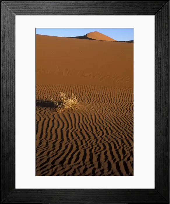 Framed Print : DDE-90021477