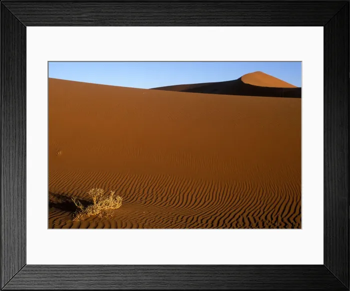 Framed Print : DDE-90021476 Framed Print : DDE-90021476