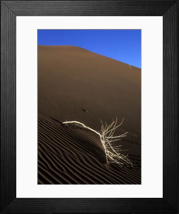 Framed Print : DDE-90021479 Framed Print : DDE-90021479