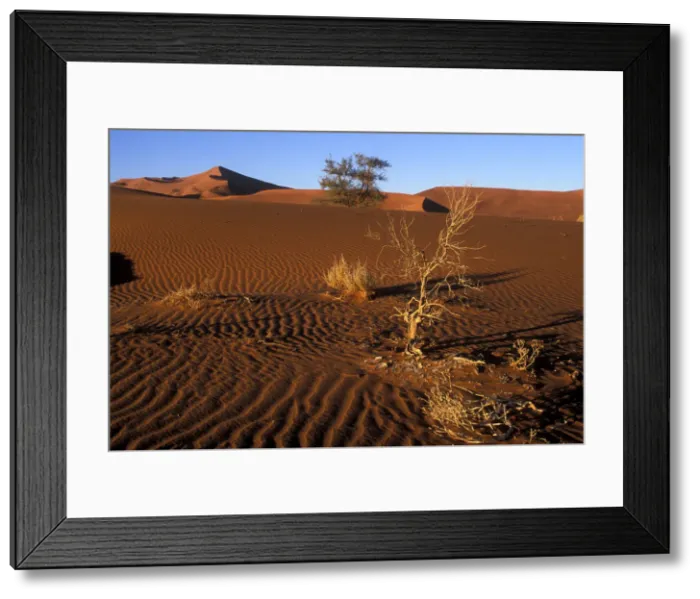 Framed Print : DDE-90021482 Framed Print : DDE-90021482